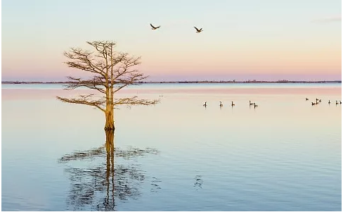 1557480361155129.png image.png