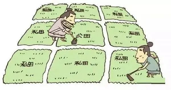 1662190395687561.jpg 1662190395687561.jpg